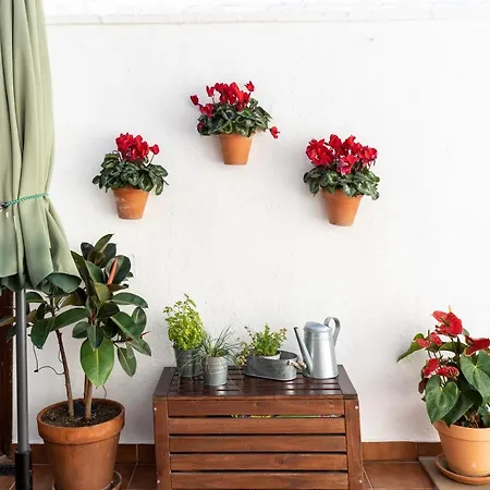 Дом отдыха Casa Pueblo Lopez *